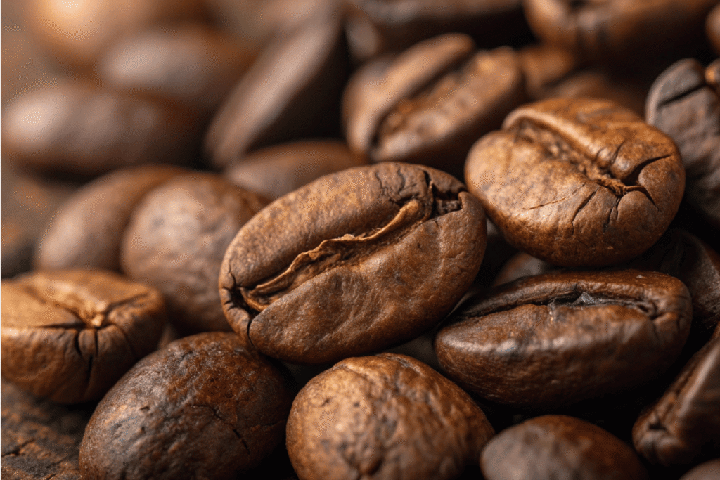 Gayo Coffee Wholesale