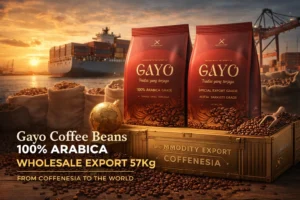 Gayo Coffee Beans