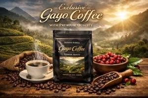 Gayo Coffee