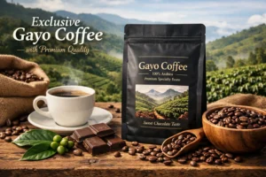 Gayo Coffee