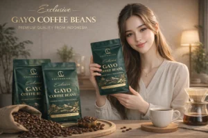 Gayo Coffee beans