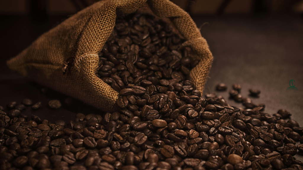 How to Find the Best Bulk Coffee Supplier in 2026