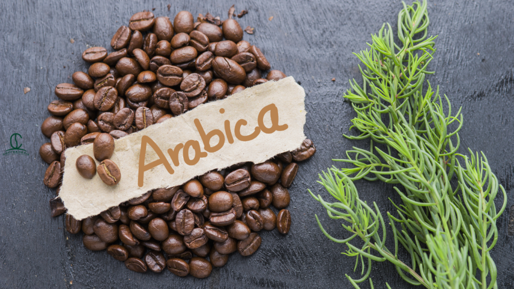Introducing Arabica Gayo Coffee: Unlocking Sumatran Profiles And Mastering New Taste in 2026