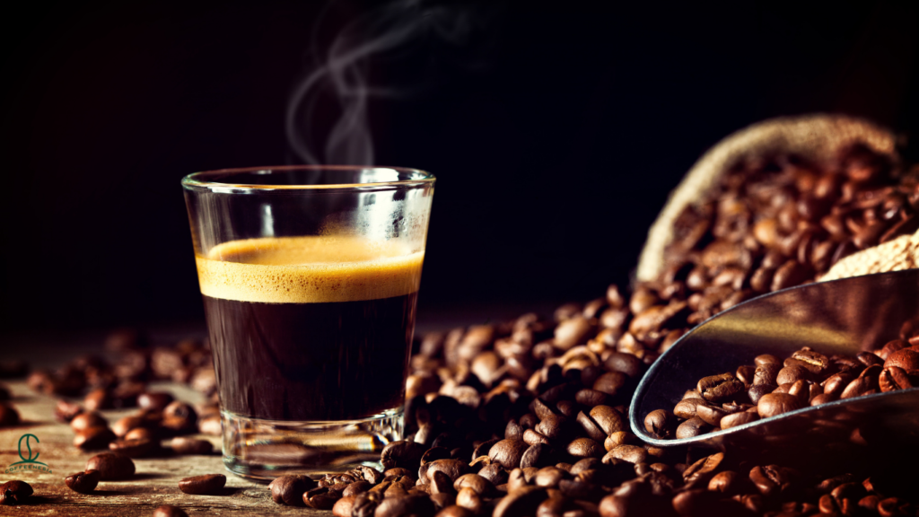 How to Properly Source Single Origin Coffee in 2026 for Scaling Your Yields with Certainty