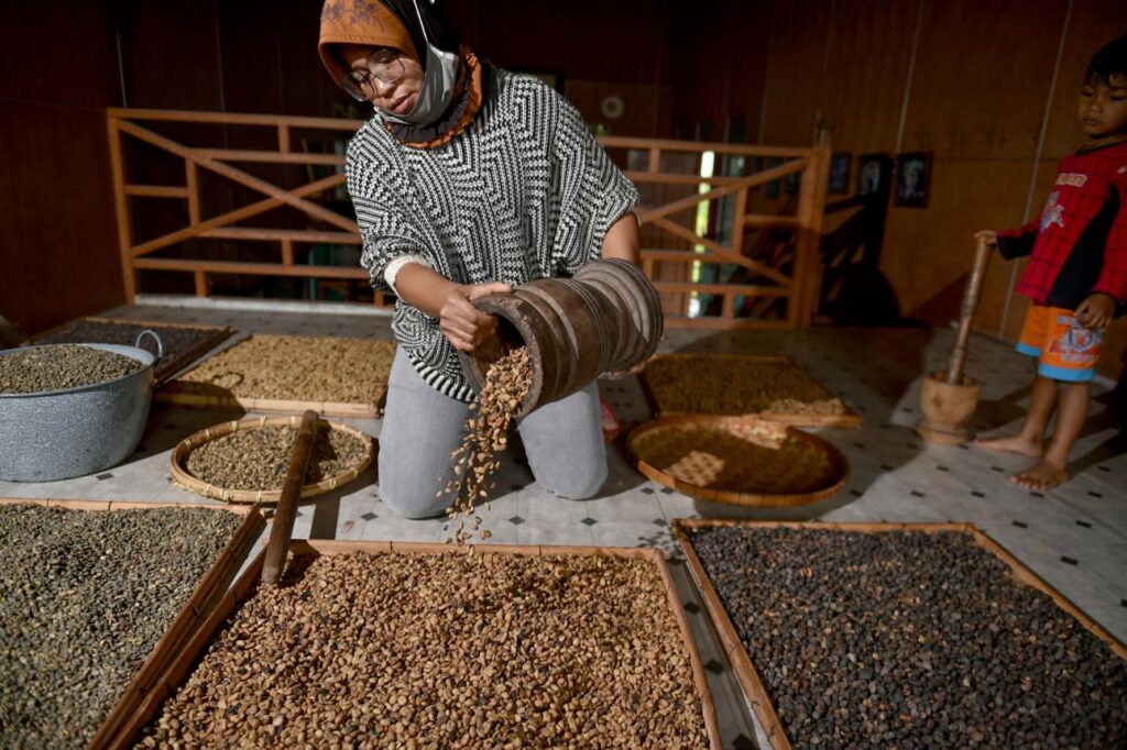 Gayo green coffee beans from Indonesia for export