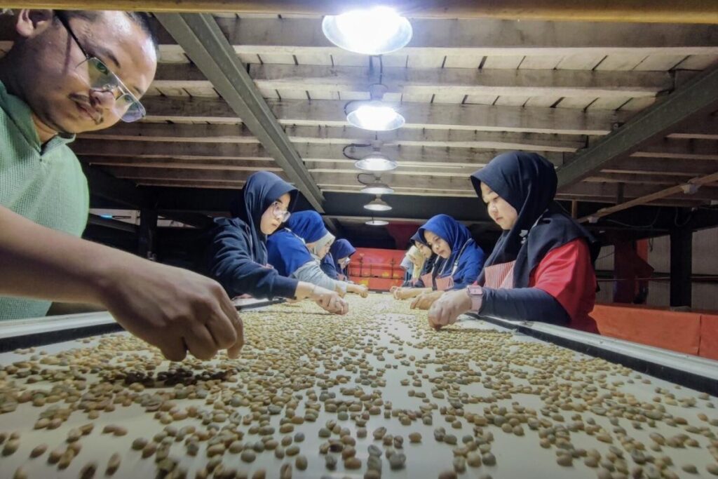 Indonesian Coffee Exporter Quality Inspection