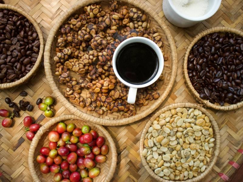 Source premium coffee beans from Indonesia