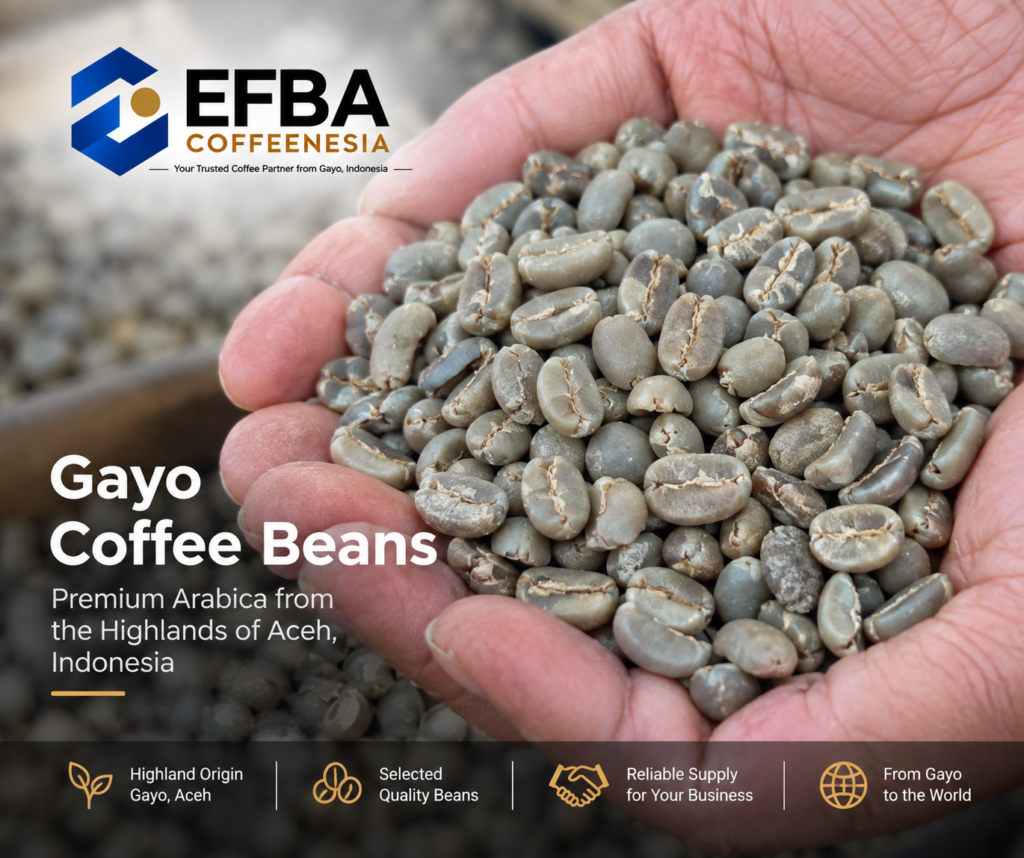 Gayo Coffee Beans from Aceh Indonesia