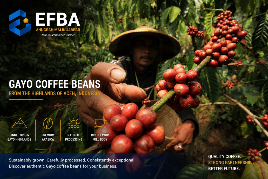 Gayo Coffee Beans from Aceh Indonesia